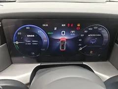 2024 Hongqi HS7 2.0T PHEV 4WD 6 — фото 8
