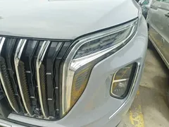 2024 Hongqi HS7 2.0T PHEV 4WD 6 — фото 23