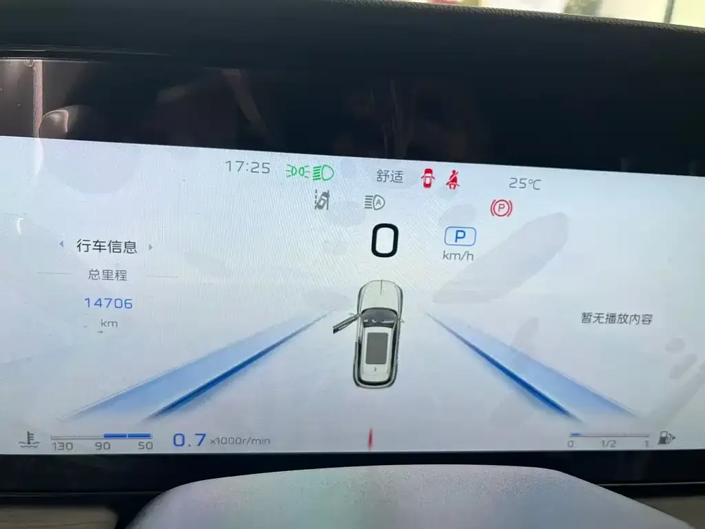2025 Hongqi HS5 2.0T 2WD Qixiang Pro