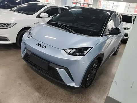2025 BYD Seagull 305km Freedom