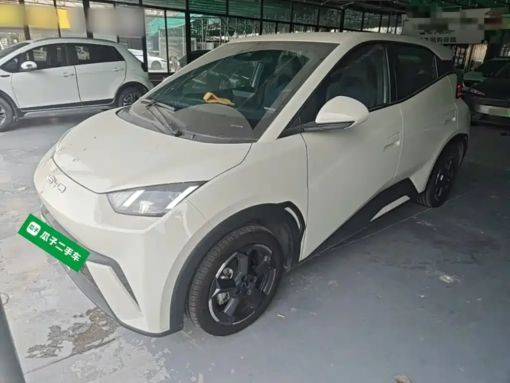 2023 BYD Seagull Flying