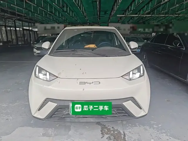 2023 BYD Seagull Flying