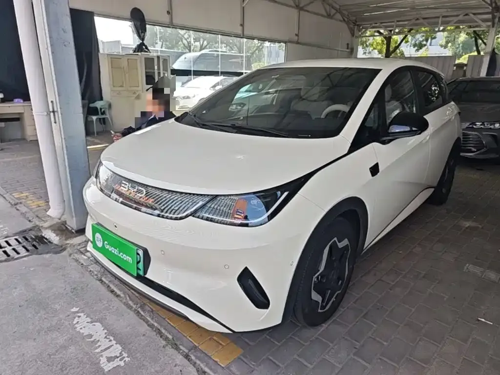 2025 BYD Dolphin Smart Driving 420km Freedom EV