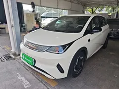 2025 BYD Dolphin Smart Driving 420km Freedom EV — фото 1