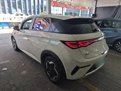 2025 BYD Dolphin Smart Driving 420km Freedom EV — фото 5