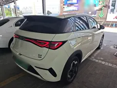 2025 BYD Dolphin Smart Driving 420km Freedom EV — фото 7