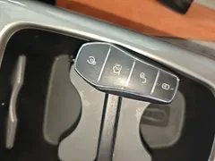 2025 BYD Dolphin Smart Driving 420km Freedom EV — фото 9