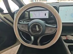 2025 BYD Dolphin Smart Driving 420km Freedom EV — фото 11