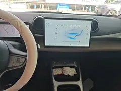 2025 BYD Dolphin Smart Driving 420km Freedom EV — фото 13