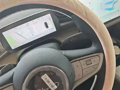 2025 BYD Dolphin Smart Driving 420km Freedom EV — фото 14