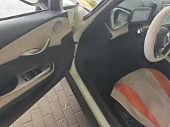 2025 BYD Dolphin Smart Driving 420km Freedom EV — фото 16