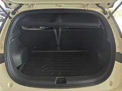 2025 BYD Dolphin Smart Driving 420km Freedom EV — фото 19