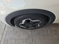2025 BYD Dolphin Smart Driving 420km Freedom EV — фото 23