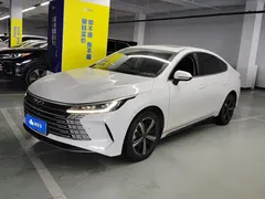 2024 BYD Destroyer 05 Honor DM-i PHEV 120km Premium, белый — фото 1