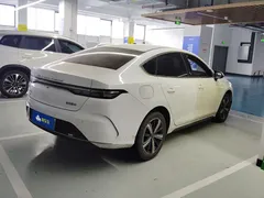 2024 BYD Destroyer 05 Honor DM-i PHEV 120km Premium, белый — фото 3