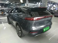 2024 BYD Tang EV Champion 635km 4WD Flagship — фото 23