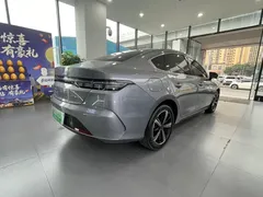 2022 BYD Destroyer 05 DM-i PHEV 55KM Luxury — фото 15