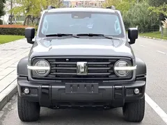 2021 Tank 300 Off-road 2.0T Conqueror — фото 2
