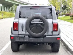 2021 Tank 300 Off-road 2.0T Conqueror — фото 16