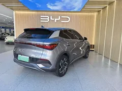 2023 BYD Yuan PLUS Champion 510km Excellence — фото 19