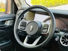 2021 Tank 300 Off-road 2.0T Conqueror — фото 11