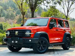 2021 Tank 300 Off-road 2.0T Conqueror — фото 12