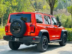 2021 Tank 300 Off-road 2.0T Conqueror — фото 14