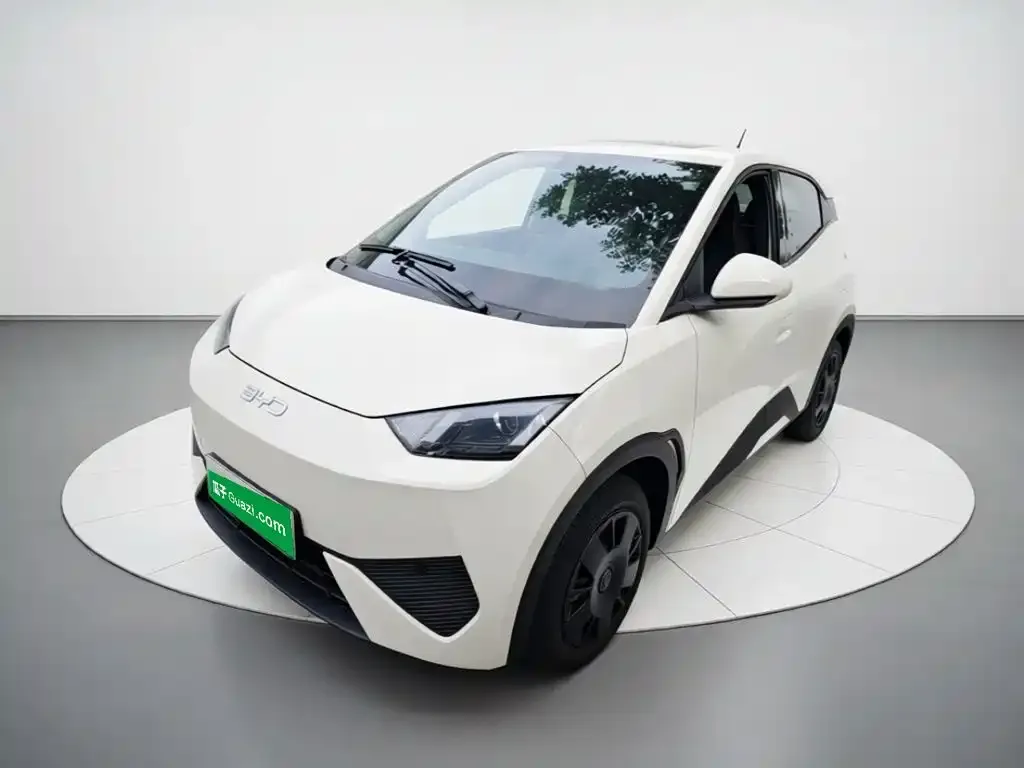 2025 BYD Seagull EV 305km