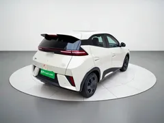 2025 BYD Seagull EV 305km, белый — фото 4