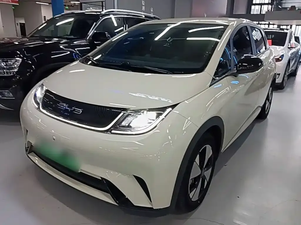 2023 BYD Dolphin 420km Freedom