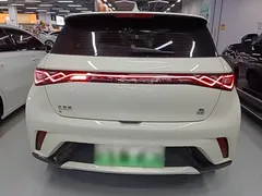2023 BYD Dolphin 420km Freedom — фото 6