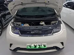2023 BYD Dolphin 420km Freedom — фото 20