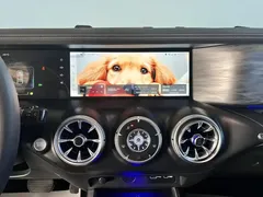 2021 Tank 300 Off-road 2.0T Challenger — фото 23