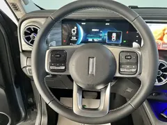 2021 Tank 300 Off-road 2.0T Challenger — фото 25