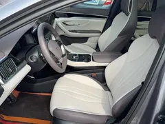 2025 BYD Song PLUS DM-i PHEV 112KM Smart Driving Premium — фото 20