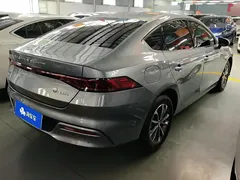 2023 BYD Qin PLUS Champion DM-i PHEV 55KM Leading — фото 3