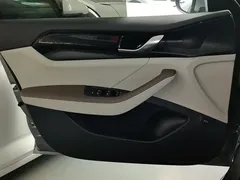 2023 BYD Qin PLUS Champion DM-i PHEV 55KM Leading — фото 7