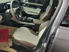 2023 BYD Qin PLUS Champion DM-i PHEV 55KM Leading — фото 9