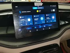 2023 BYD Qin PLUS Champion DM-i PHEV 55KM Leading — фото 13