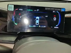 2023 BYD Qin PLUS Champion DM-i PHEV 55KM Leading — фото 14