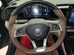 2023 BYD Qin PLUS Champion DM-i PHEV 55KM Leading — фото 15