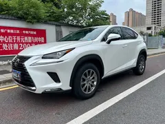 2020 Lexus NX 200 2WD Fengxing China VI, белый — фото 1
