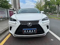 2020 Lexus NX 200 2WD Fengxing China VI, белый — фото 2