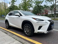 2020 Lexus NX 200 2WD Fengxing China VI, белый — фото 3