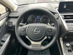 2020 Lexus NX 200 2WD Fengxing China VI, белый — фото 9