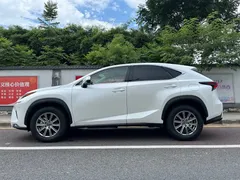 2020 Lexus NX 200 2WD Fengxing China VI, белый — фото 15