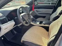 2025 BYD Song PLUS DM-i PHEV 112km Premium — фото 6