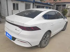 2024 BYD Qin PLUS Honor DM-i PHEV 55km Leading, белый — фото 3