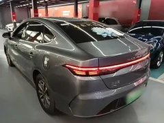2024 BYD Destroyer 05 DM-i PHEV 55km Luxury — фото 5