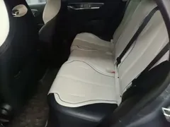 2024 BYD Destroyer 05 DM-i PHEV 55km Luxury — фото 16